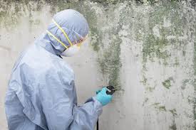 Biohazard Mold Removal in Stuart, IA